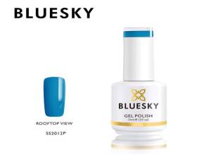 Bluesky Rooftop View 